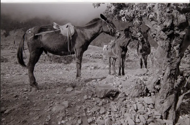 Excursión a La Caldera.
